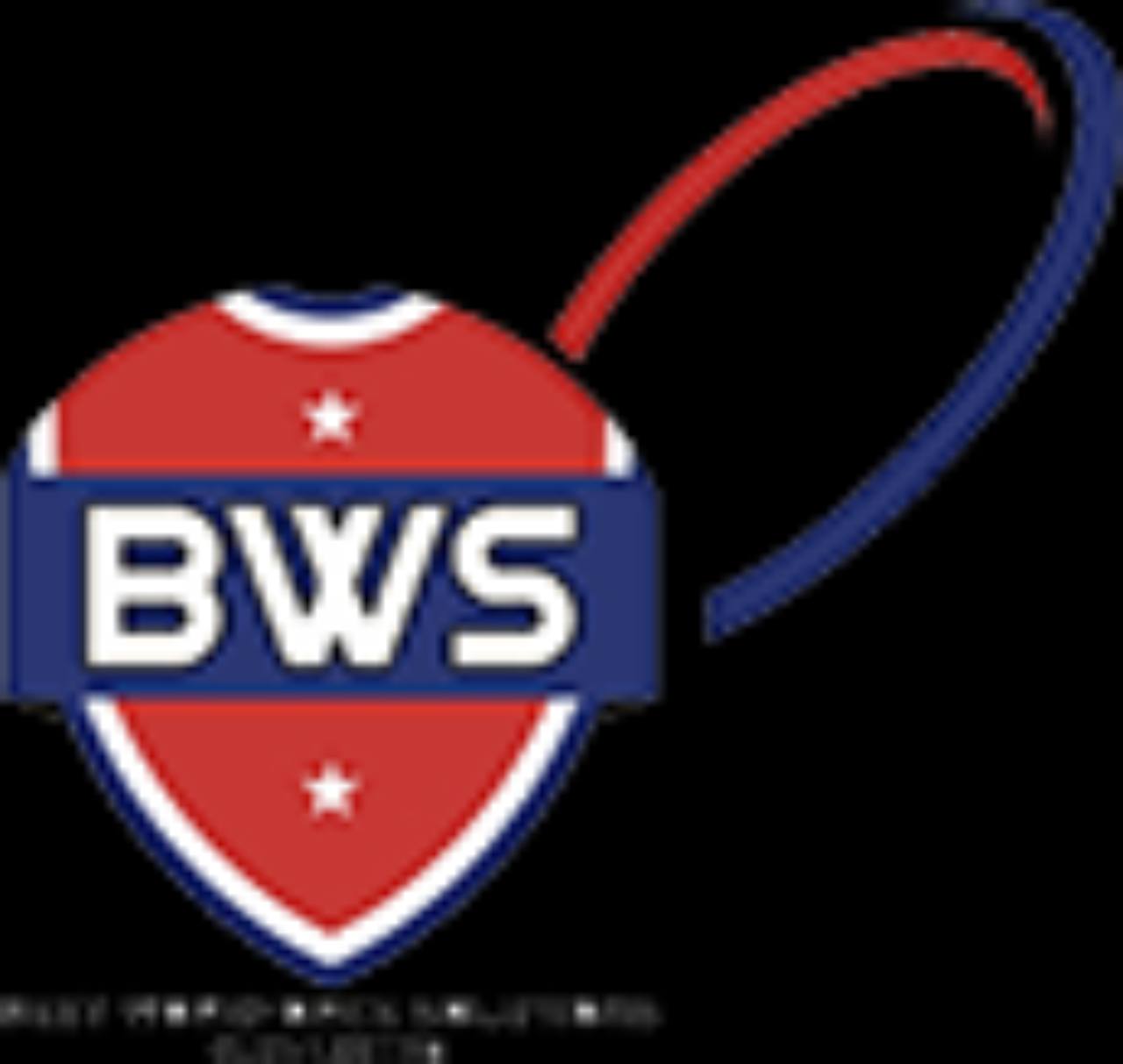 Best Workforce Services BWS logo
